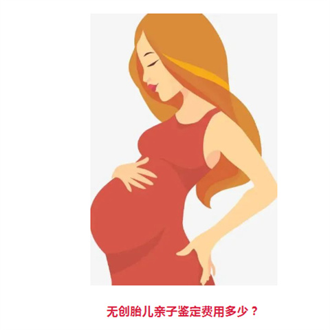 怀孕多久能做无创胎儿DNA亲子鉴定?一般多少钱一次?