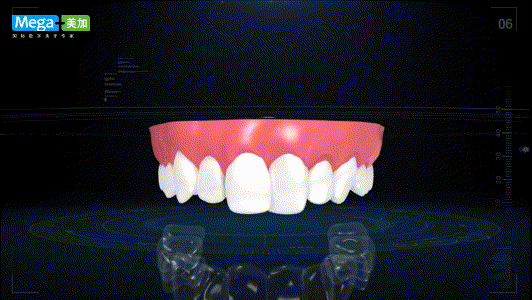 矫正牙齿知识大科普，让你更了解你的牙齿